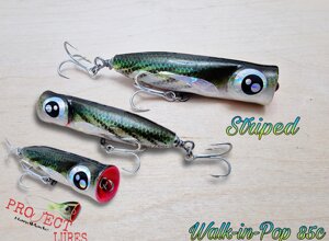 Walk-In-Pop 85c Striped