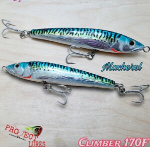 Climber 170F Mackerel