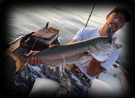 Walk-In-Pop 120c Striped Bluefish