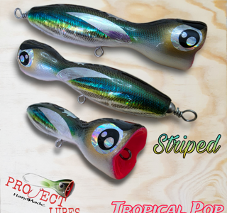 eyJpdCI6IlRyb3BpY2FsIFBvcCAxODAgU3RyaXBlZCJ9