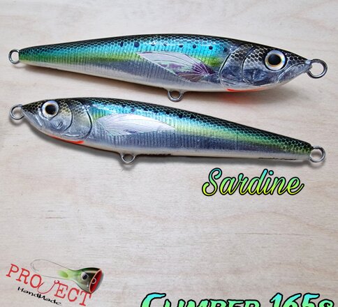 Climber 165s sardine 