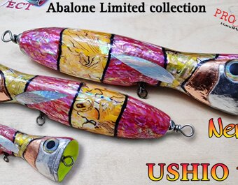 Ushio 180 ABALONE LIMITED NEMO
