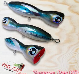 eyJpdCI6IlRyb3BpY2FsIFBvcCAxODAgQWxpY2UncyJ9