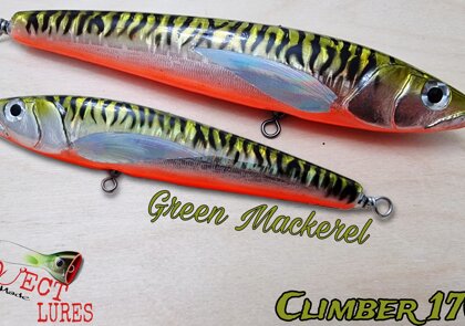 Climber 170F Green Mackerel