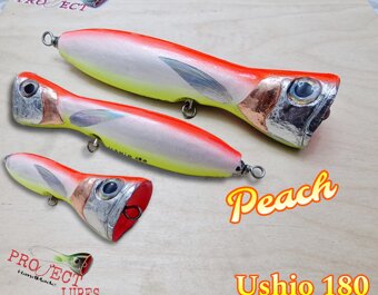 Ushio 180 peach