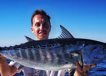 Alletterato Climber 170F