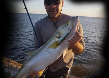  Bluefish Original 130 Tiger