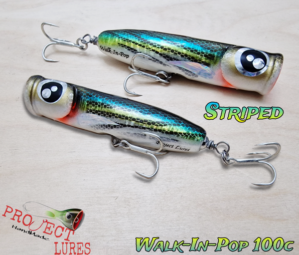 Walk-In-Pop 100c Striped