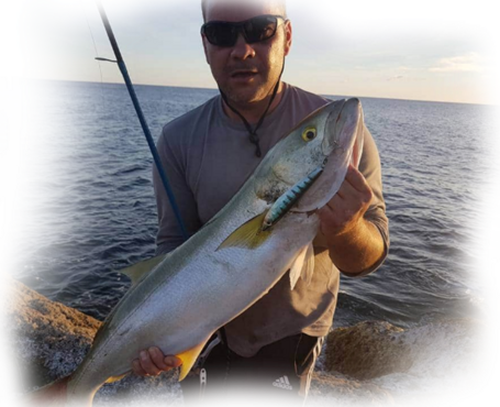 WTD Original 130 Bluefish