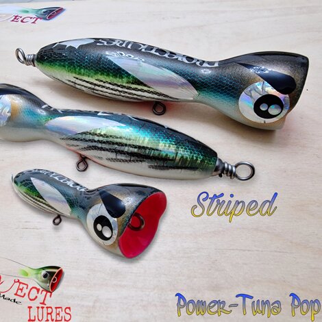 Power Tuna Pop 150 Striped