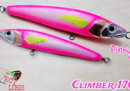 Climber 170F Pinky
