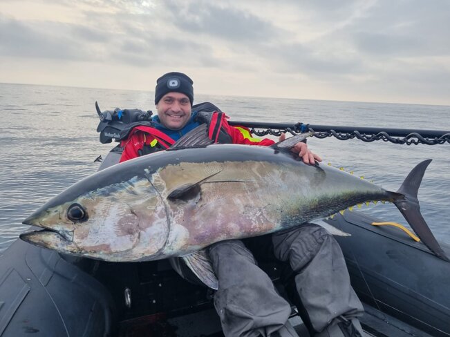 Ushio popper 180 e Bluefin tuna 