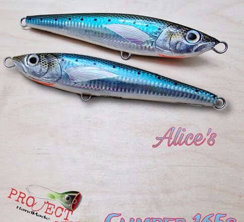 Climber 165s Alice's