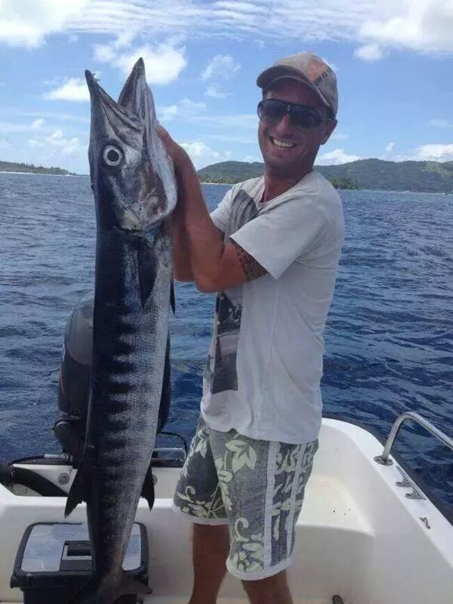 Tropical pop 180 barracuda tropicale