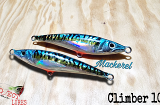 Climber100s mackerel