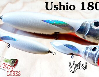 Ushio 180 Yuki