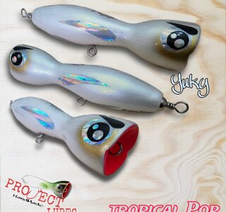 eyJpdCI6IlRyb3BpY2FsIFBvcCAxODAgWXVraSJ9