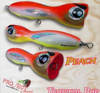 eyJpdCI6IlRyb3BpY2FsIFBvcCAxODAgUGVhY2gifQ==