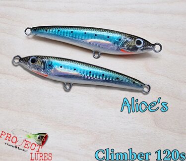 Climber 120s Alice's
