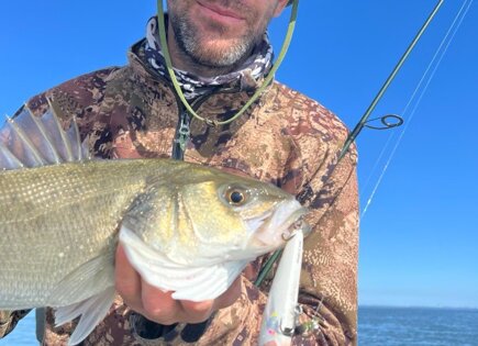 Lomley walker 100 Yuki Spigola