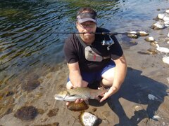 cavedano rattler 70 alice's