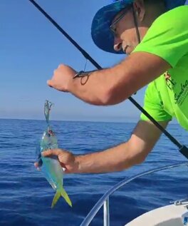 Lampuga Climber 85s Alice's