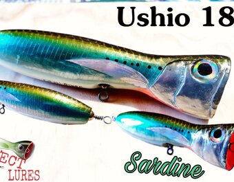 Ushio 180 sardine