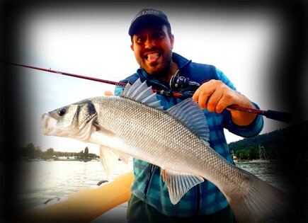 Rattler 100 agu Spigola