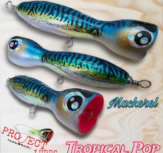 eyJpdCI6IlRyb3BpY2FsIFBvcCAxODAgTWFja2VyZWwifQ==