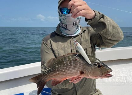 Original 130 cuda cubera