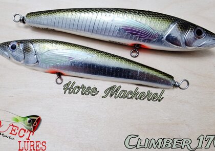 Climber 170F Horse Mackerel