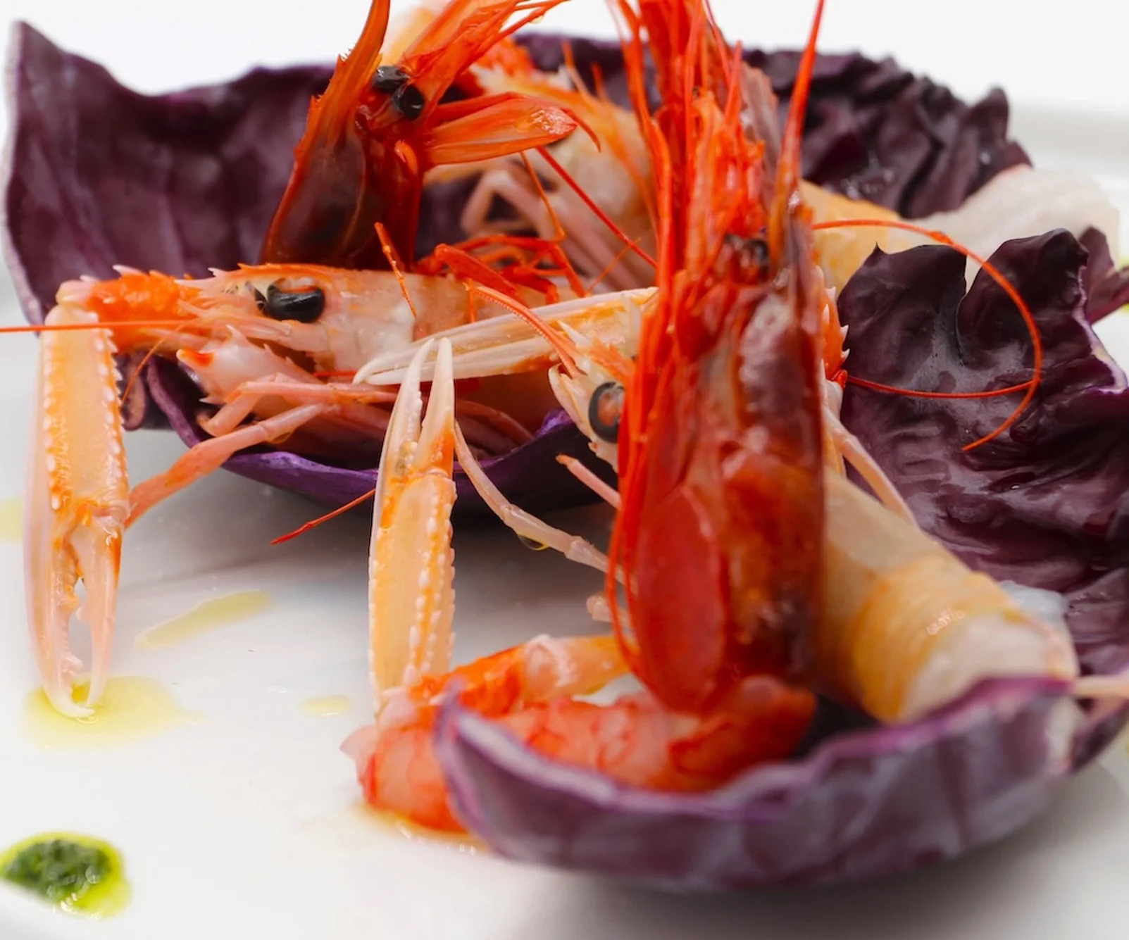 Gamberi rossi e scampi freschi