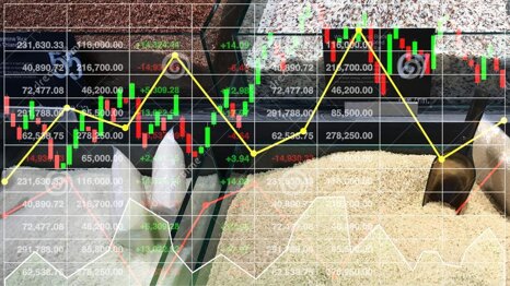 b5530e0f-aaaa-4a54-b653-ab95e2554401