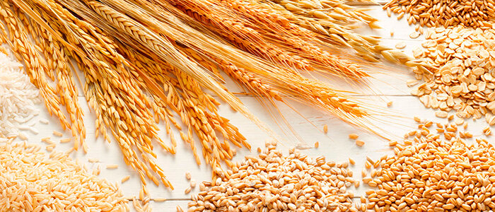 373315e3-c4d7-4e8a-87aa-b4332c05411f 373315e3-c4d7-4e8a-87aa-b4332c05411f