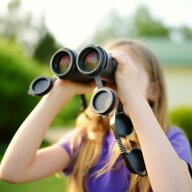 b4e775a6-adeb-48ba-9122-46587dc53300