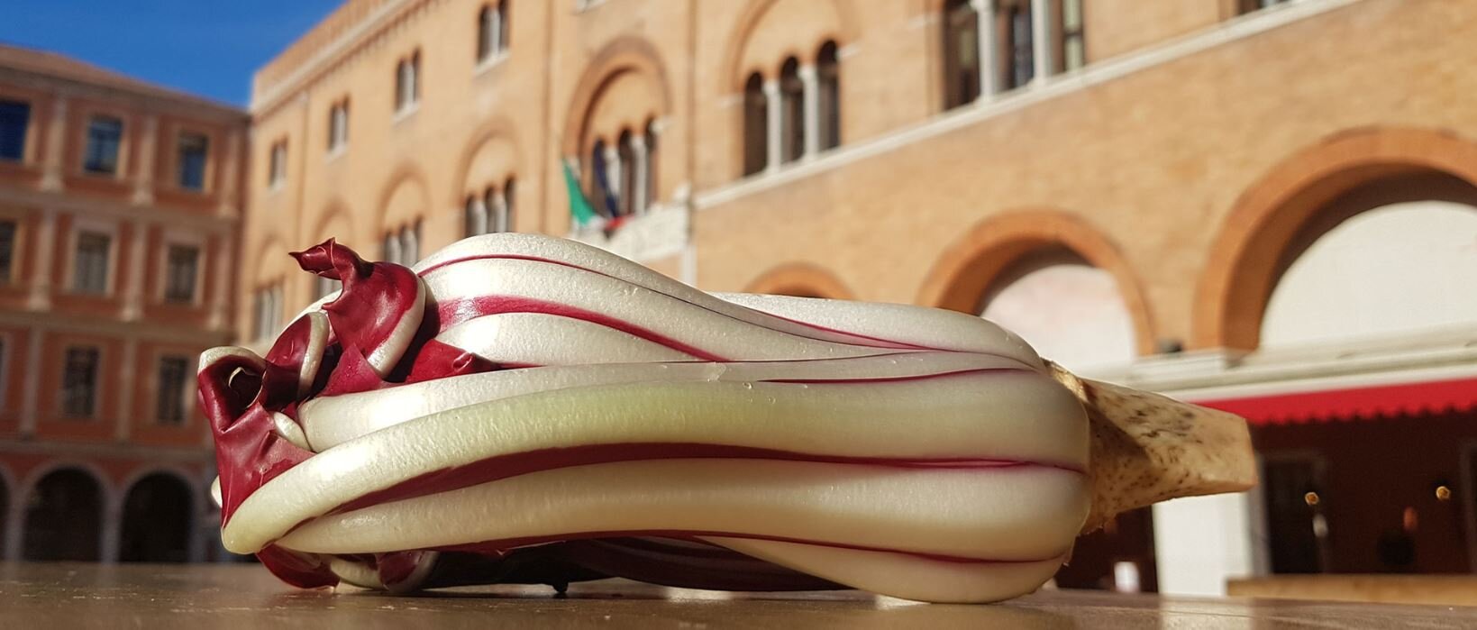 Il Radicchio Rosso di Treviso IGP tra storia e leggenda Il Radicchio Rosso di Treviso IGP tra storia e leggenda