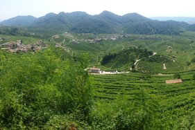 ea1b48d6-4403-4139-8130-3a651f54d18e