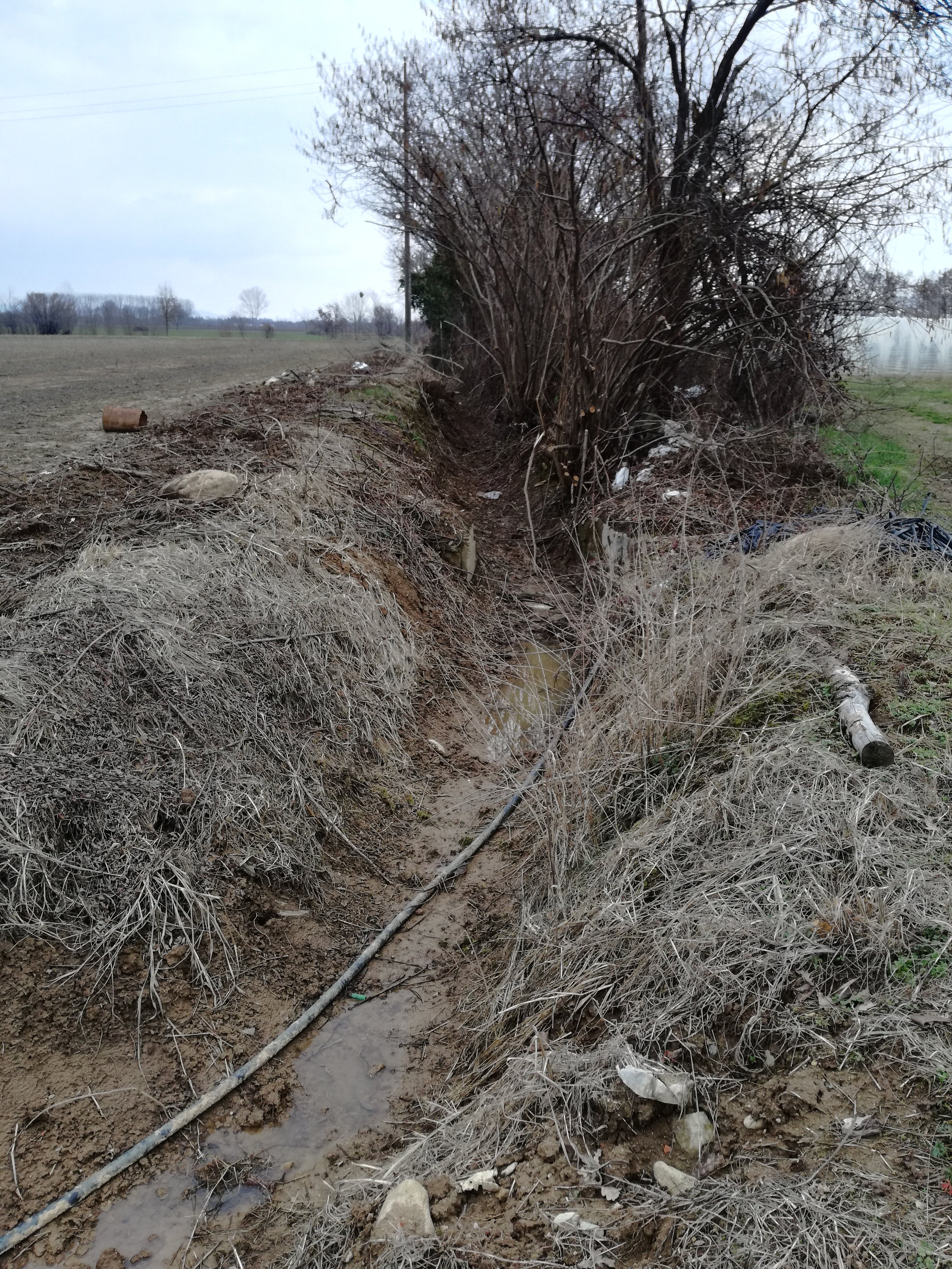 ee5671de-9afe-43d7-9e88-be4bef73dfef.jpg ee5671de-9afe-43d7-9e88-be4bef73dfef.jpg