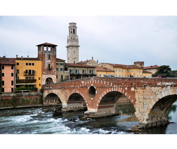 6e60aa6d-48a1-4a05-87e8-a18c7b094319