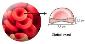 7f04e18e-bb6c-4fd1-9a62-5cdb85d23cd1