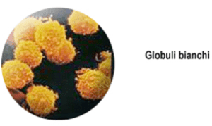 0ca42407-d2c8-43e0-ab0f-6d5c01a14509