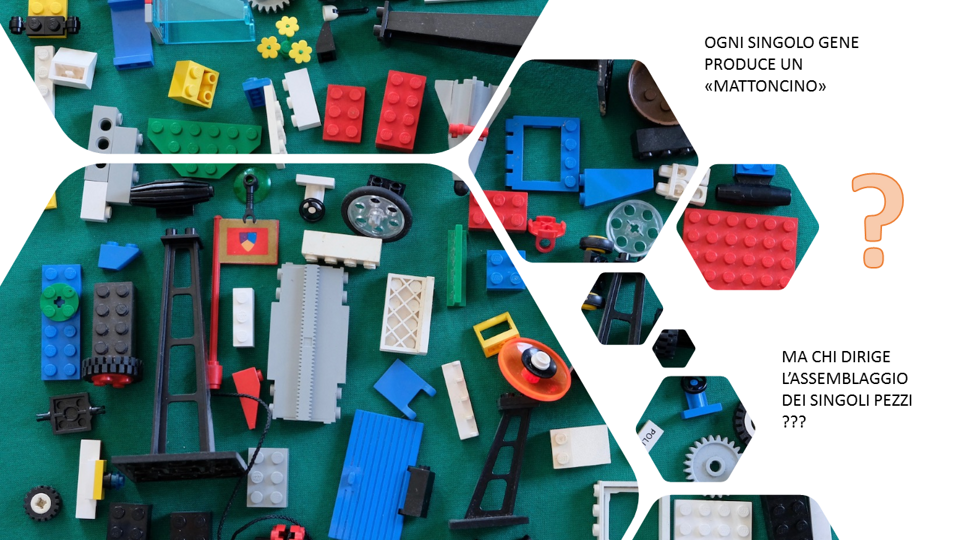 c0bb8d24-1f1b-49ee-8a5e-f1b7154ed8e3