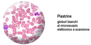 d900f681-8649-4b0f-ac69-34f856047707