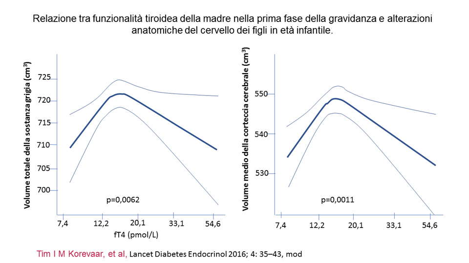fed5009a-fc92-4c23-8b79-45b72a2fe60f