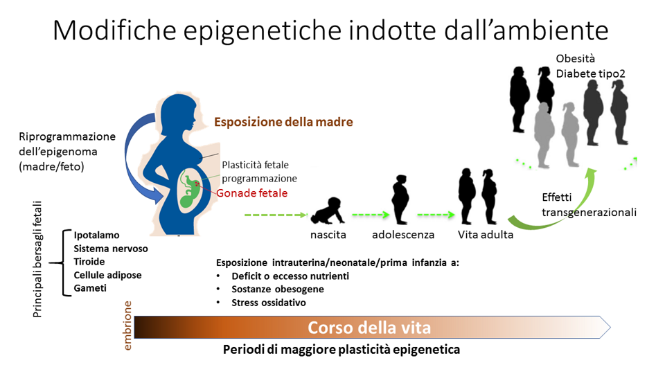 2dd197bf-a82f-4c1d-bfd8-d3c93d7cb847