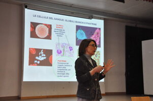 25ae4c00-8d9e-4267-9240-7f24ff14613b