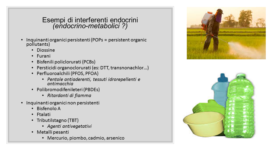 a453d214-516b-46d9-a797-9409d774202a