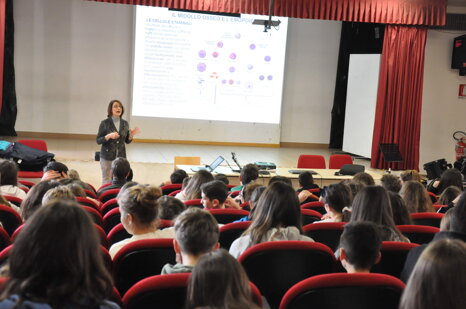 121376e7-a636-459a-8168-0099a6462d35