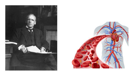 36594cbf-b3aa-402f-8d90-487c146022a1