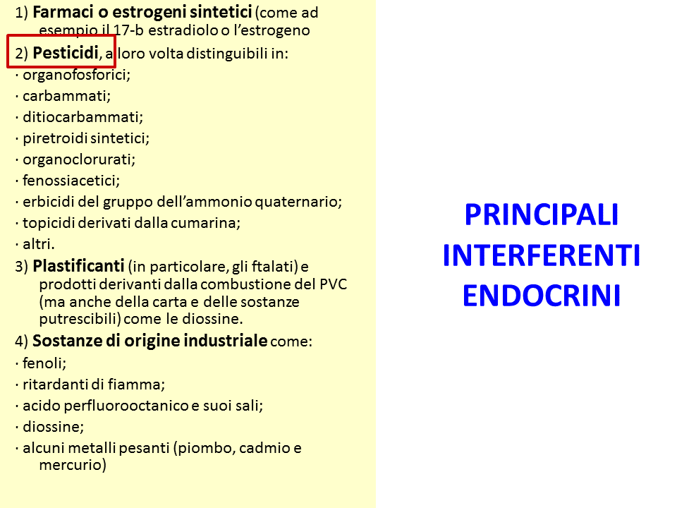dabf0cdd-41ec-4006-bc75-a1913ecacaf0